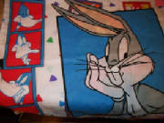 PillowCases/spb44.jpg